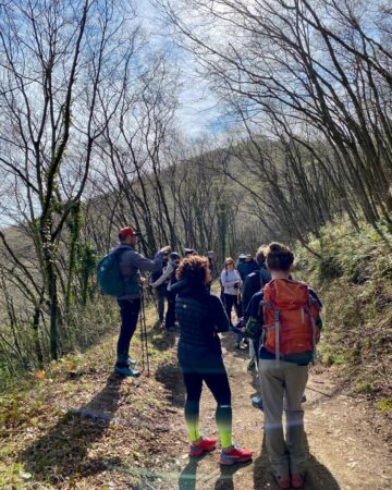 Trekking nelle Terre del Vino